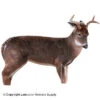 Montana Decoy The Freshman Whitetail Deer Decoy -Sitko Shop 3220016 5b99fecb e9b3 4996 a667 9c8ffbc7b07c