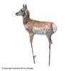 Montana Decoy Antelope Fawn Decoy 2 Montana Decoy Antelope Fawn Decoy -Sitko Shop 3220029