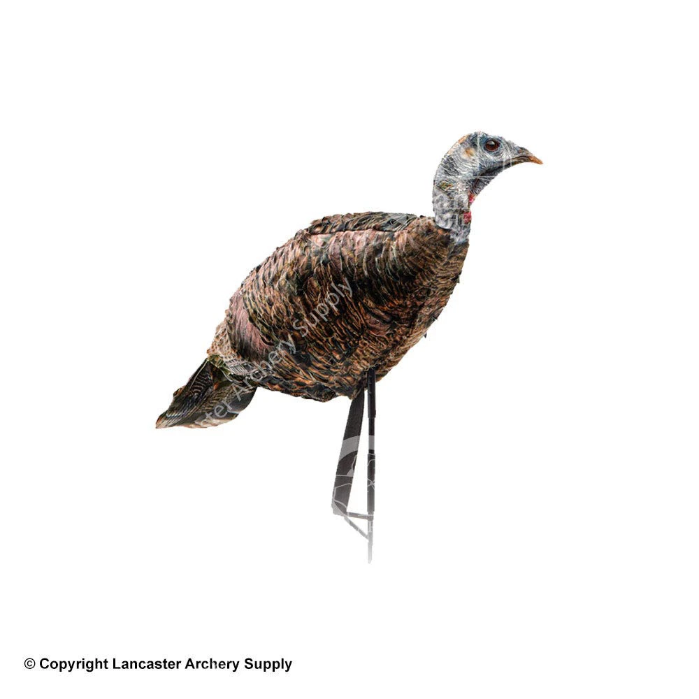 Montana Decoy Miss Purrfect XD Turkey Hen Decoy 3 Montana Decoy Miss Purrfect XD Turkey Hen Decoy - Image 2