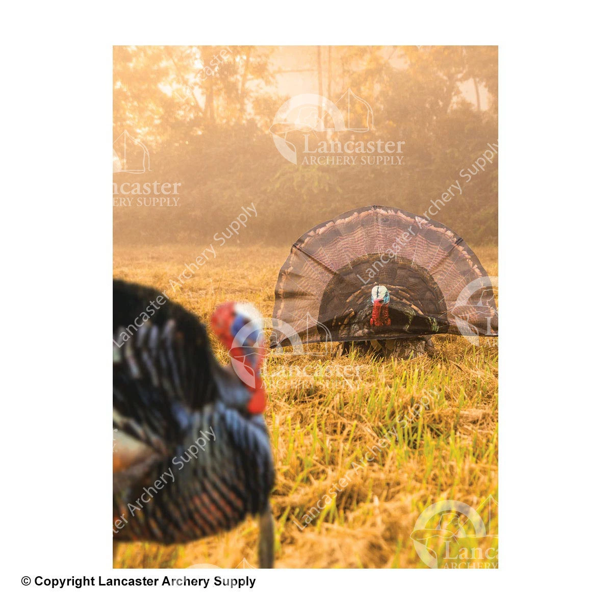 Primos Surroundview Turkey Decoy 4 Primos Surroundview Turkey Decoy - Image 2