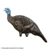 Rinehart Doloma Hen Turkey Decoy -Sitko Shop 5650226