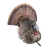 Avian-X LCD Strutter Turkey Decoy -Sitko Shop 8380005
