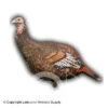 Avian-X LCD Lookout Hen Turkey Decoy 1 Avian-X LCD Lookout Hen Turkey Decoy -Sitko Shop 8380009