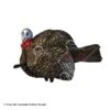 Avian-X LCD Jake 1/2 Strut Turkey Decoy -Sitko Shop 8380014