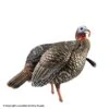Avian-X HDR Molded Jake Turkey Decoy 1 Avian-X HDR Molded Jake Turkey Decoy -Sitko Shop 8380016 aggressive