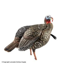 Avian-X HDR Molded Jake Turkey Decoy
